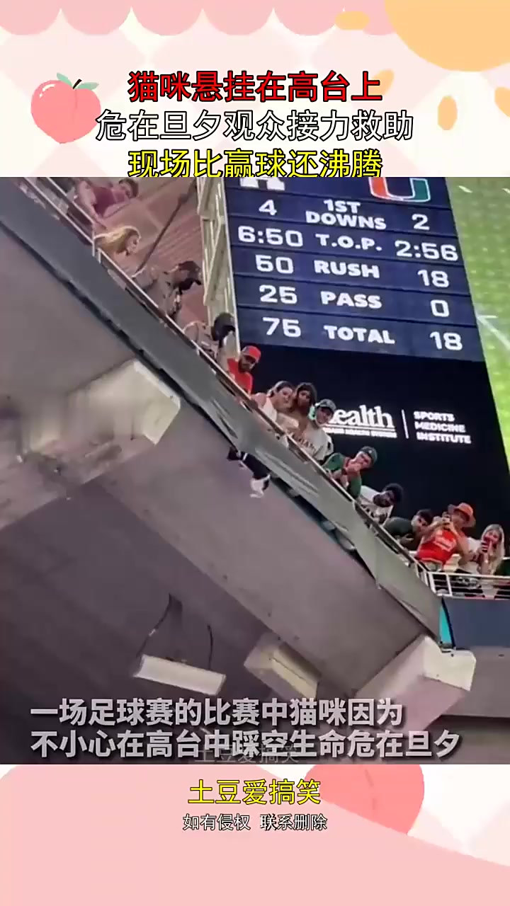 爱游戏入口-关于JackeyLove重返赛场，出色防守首场状态出色，独行侠观众沸腾！上演精彩一战的信息