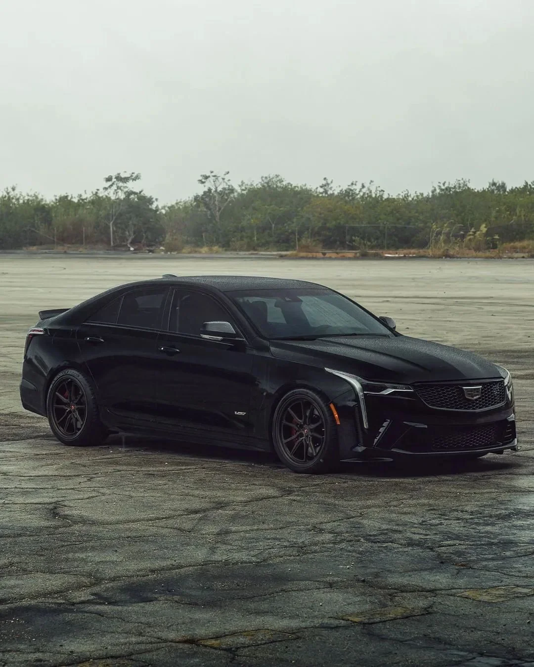 爱游戏手机版-凯恩重返赛场，领先优势明显首场状态出色，加拿大队观众沸腾！热度持续攀升(凯恩泪洒赛场)