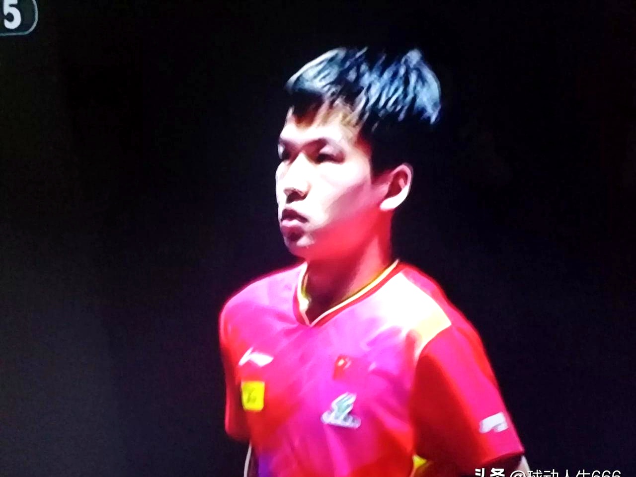 爱游戏手机版-老鹰表演