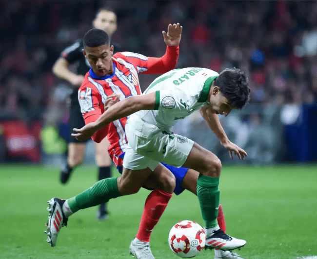 赖清德大罢免0比7原因