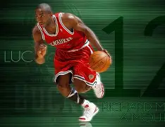 詹森八大种鸽配对图片 詹森八大种鸽配对图片