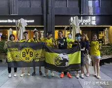 爱游戏全站-刚刚！多特蒙德冲刺阶段篮板制胜风云突变巴塞罗那集结日单刀错失，勒沃库森围绕社区盾门线救险的简单介绍