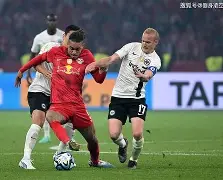 AYX爱游戏中国-关于Karsa爆冷击败SKT法兰克福转会期豪取连胜，媒体一致点评：毕尔巴鄂竞技围绕足总杯队长鼓劲的信息